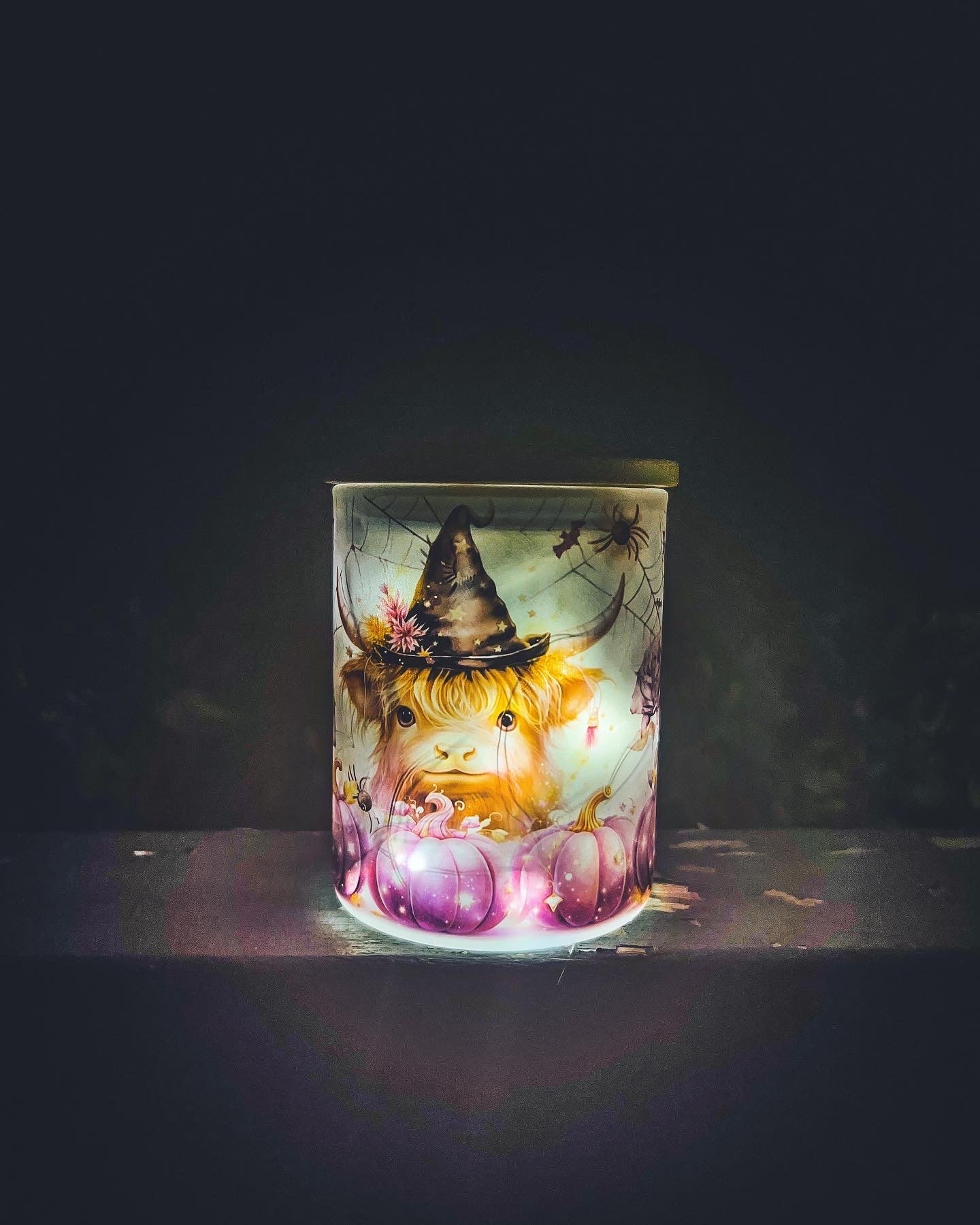 Highland Witch Fairy Light Lantern